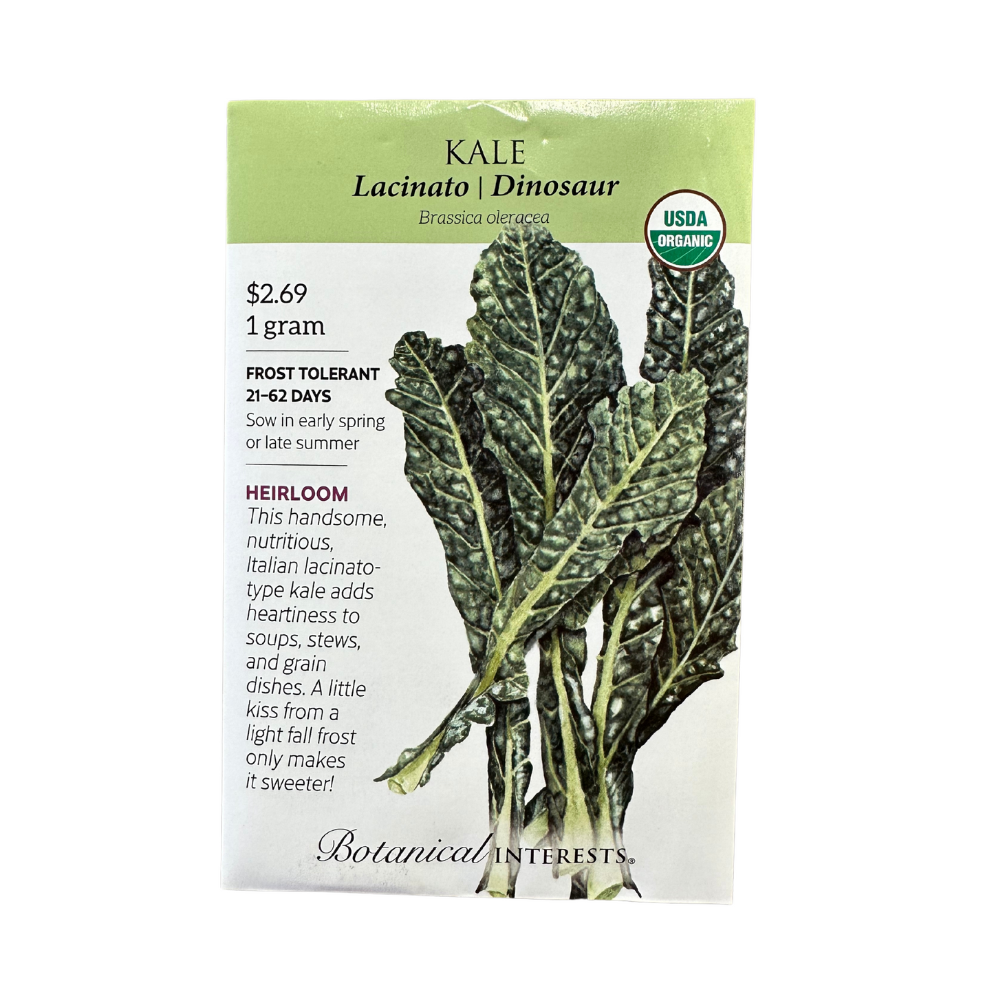 Kale Italian Lacicato Dinosaur Org