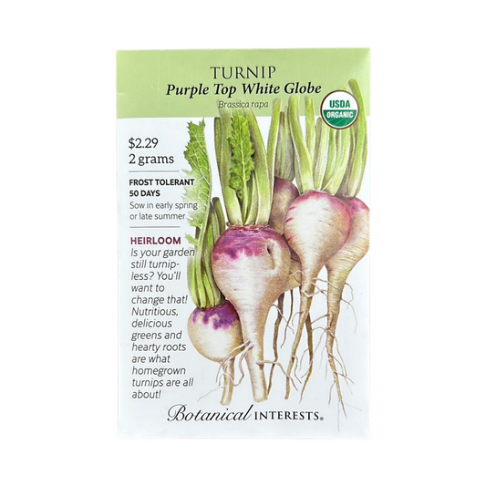 Turnip Purple Top White Globe Org