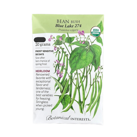 Bean Bush (green) Blue Lake274 Org