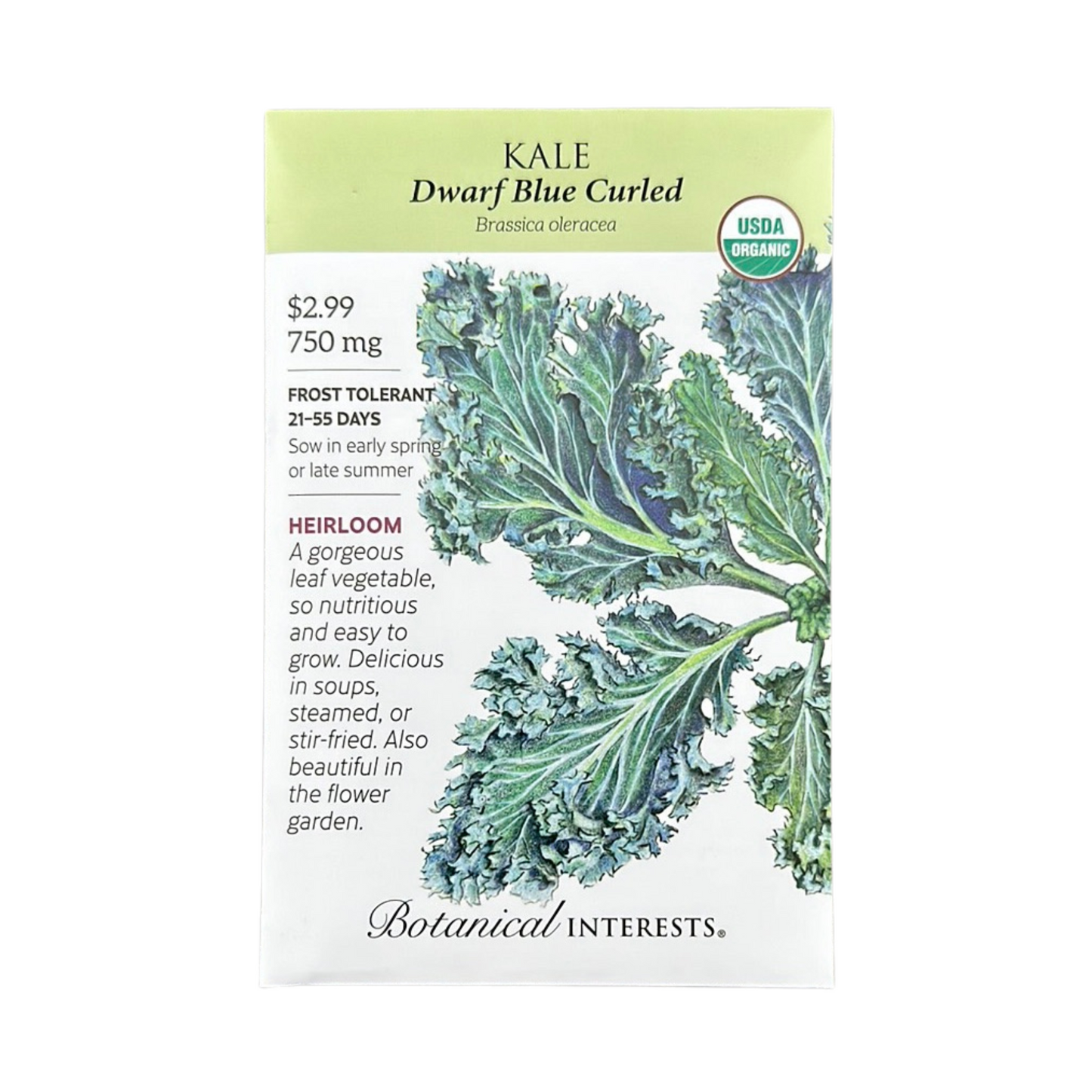 Kale Dwarf Blue Curled Org