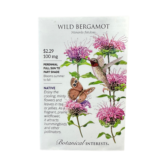 Wild Bergamot