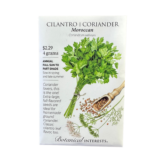 Cilantro/Coriander Moroccan