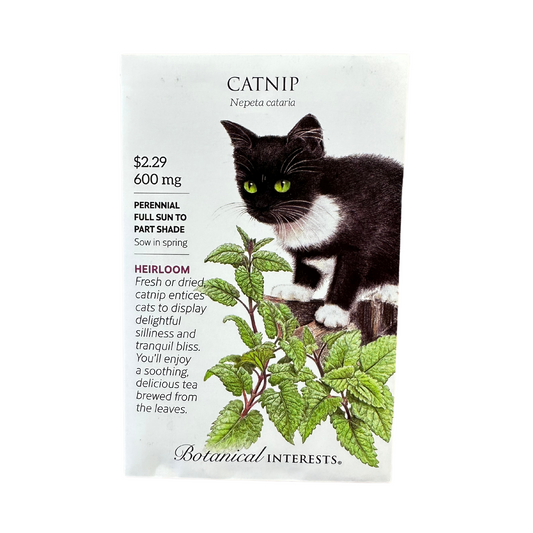 Catnip