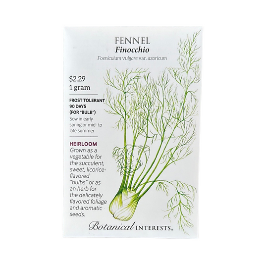 Fennel Finocchio