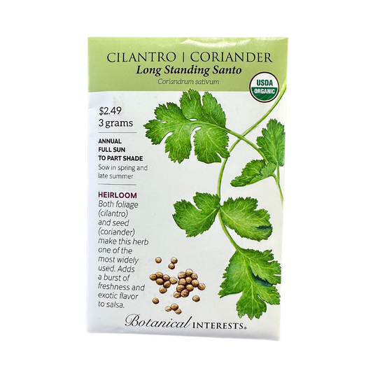 Cilantro / Coriander Santo Org