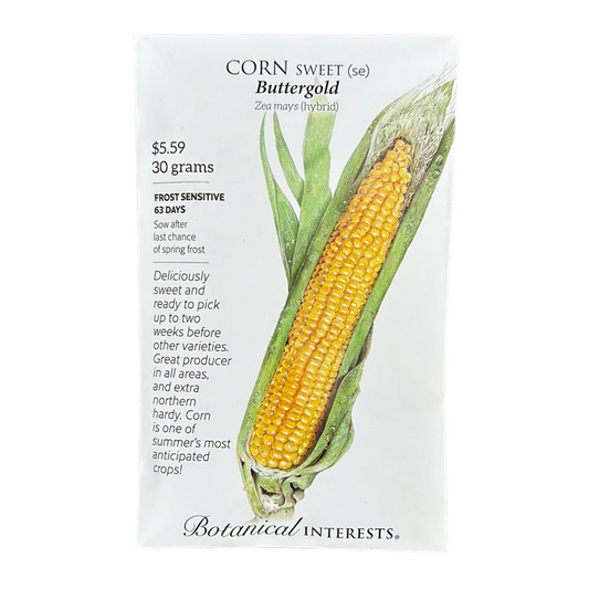 Corn Swt (yellow) Buttergold