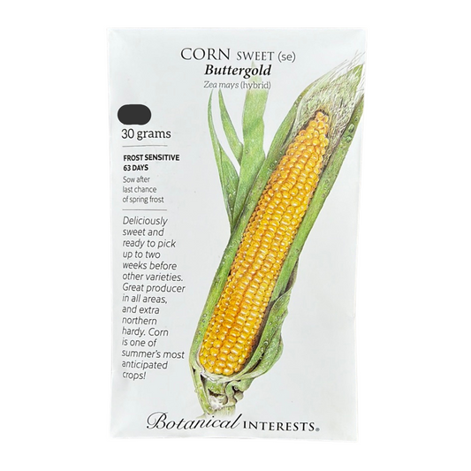 Corn Swt (yellow) Buttergold