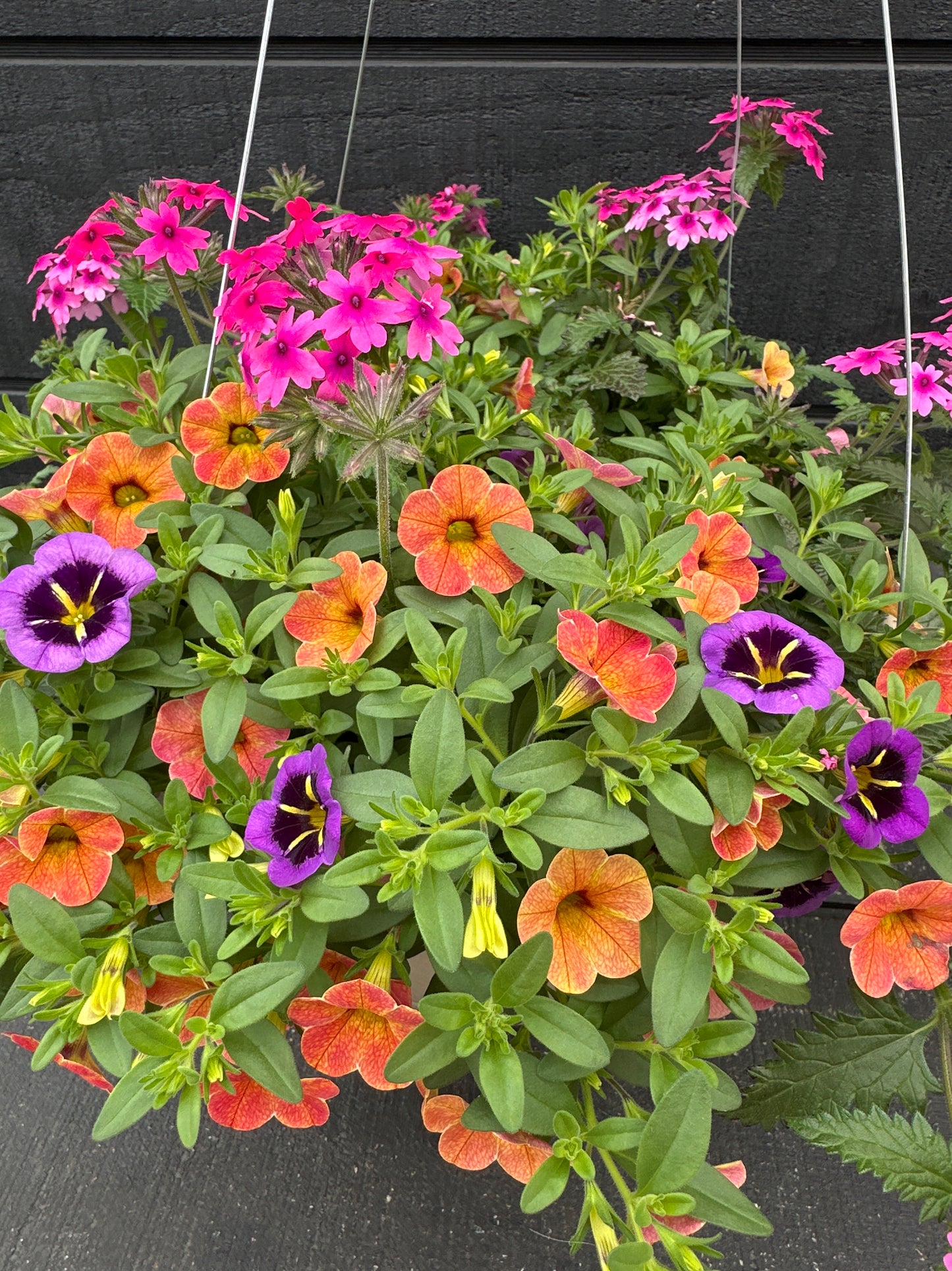 BASKET #102 - 12" HANGING BASKET