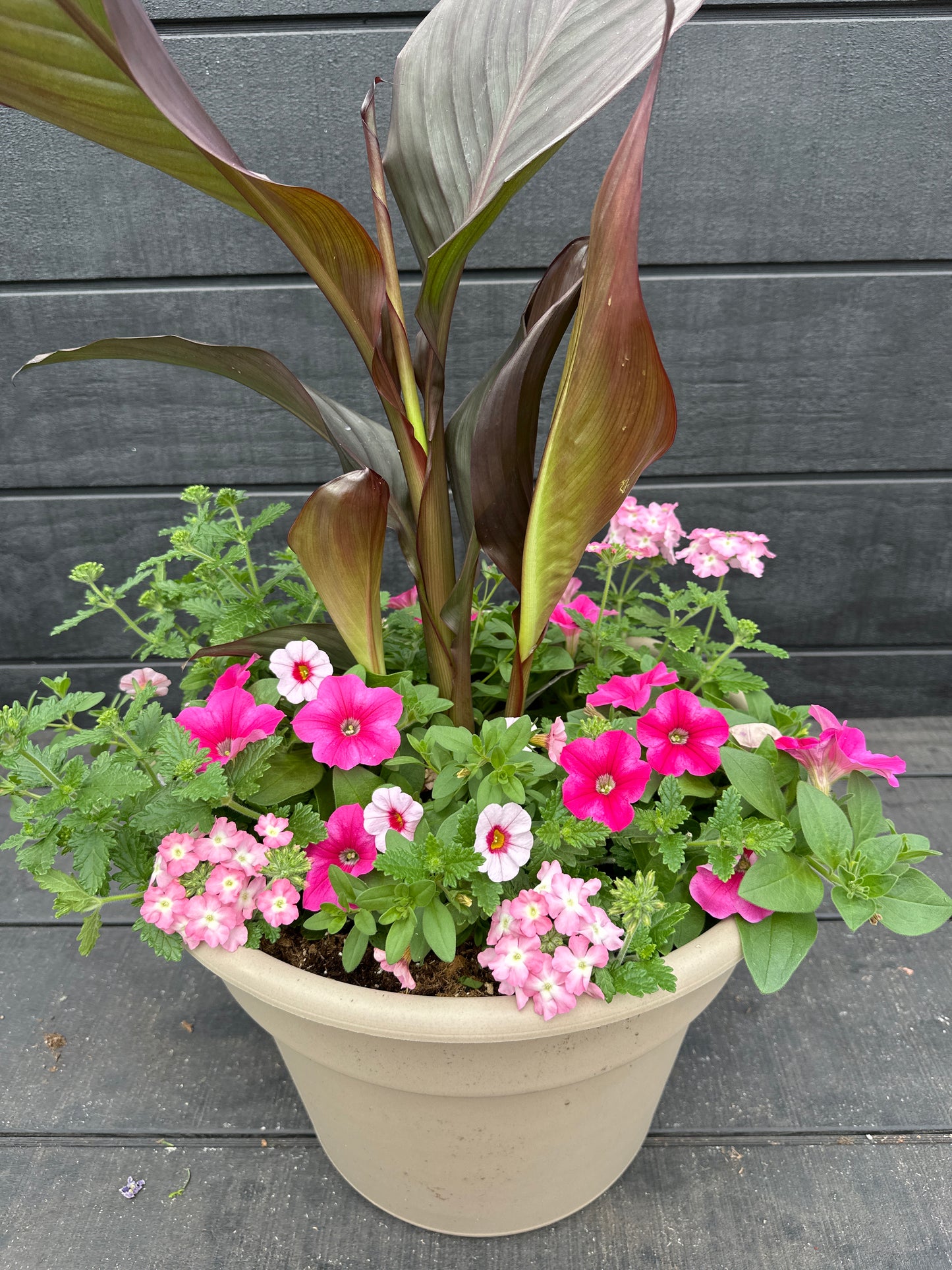 COMBO #11 - 14'' POT