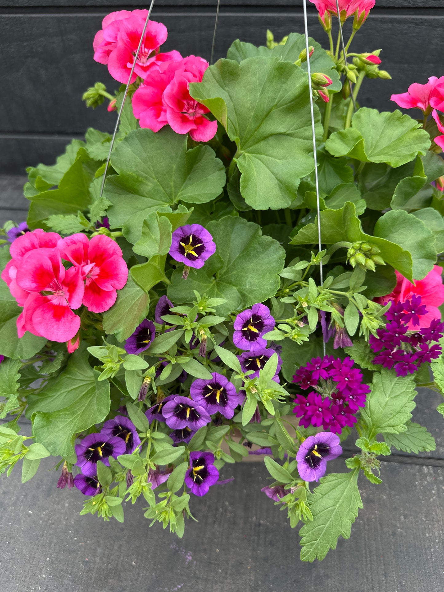 BASKET #28 - 12'' HANGING BASKET