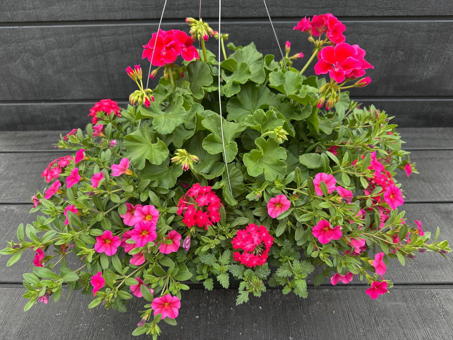 BASKET #11 - 12'' HANGING BASKET