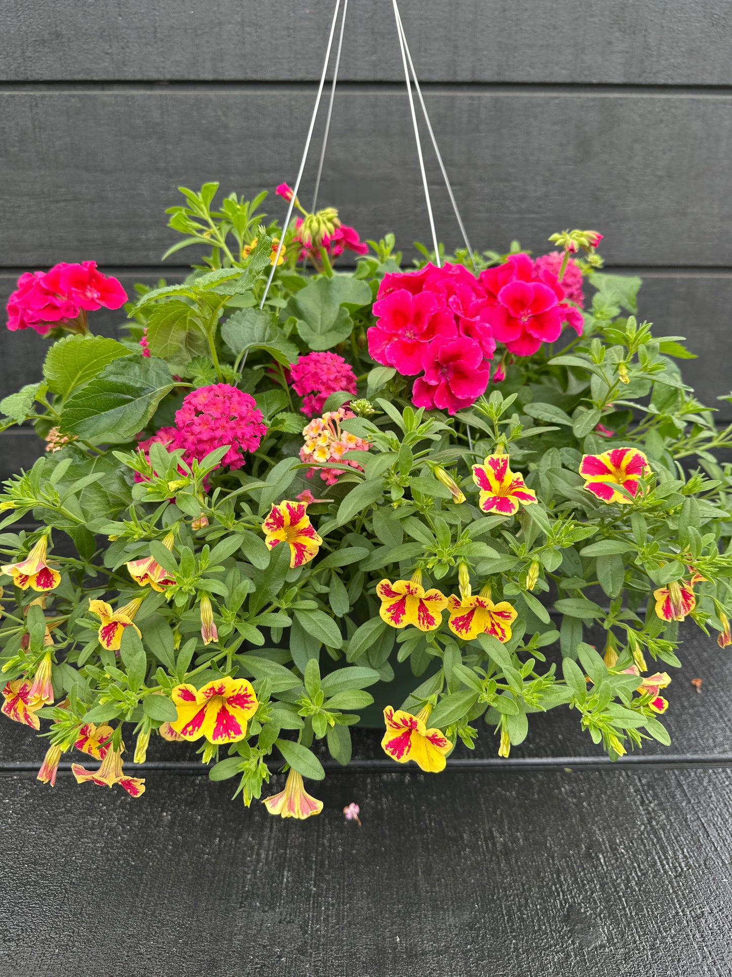 BASKET #101 - 12" HANGING BASKET