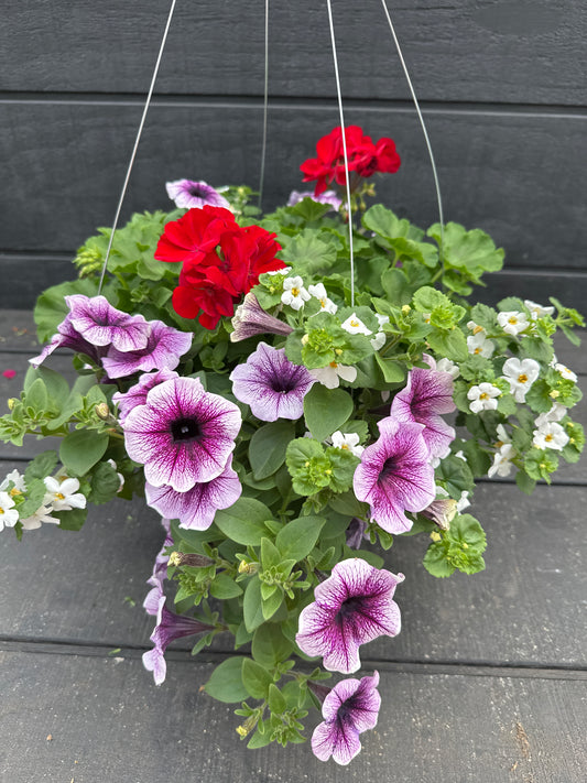 BASKET #94 - 12'' HANGING BASKET