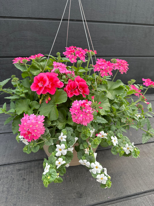 BASKET #15 - 12'' HANGING BASKET