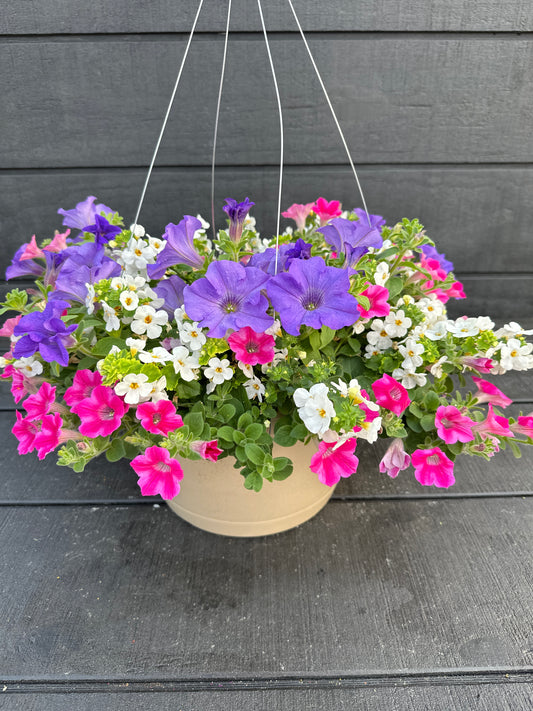BASKET #50 - 12" HANGING BASKET