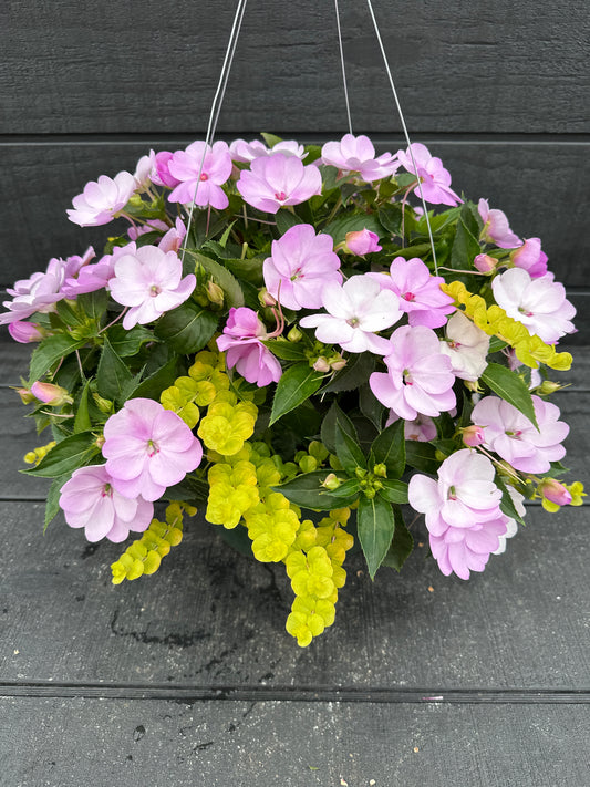 BASKET #43 - 12" HANGING BASKET
