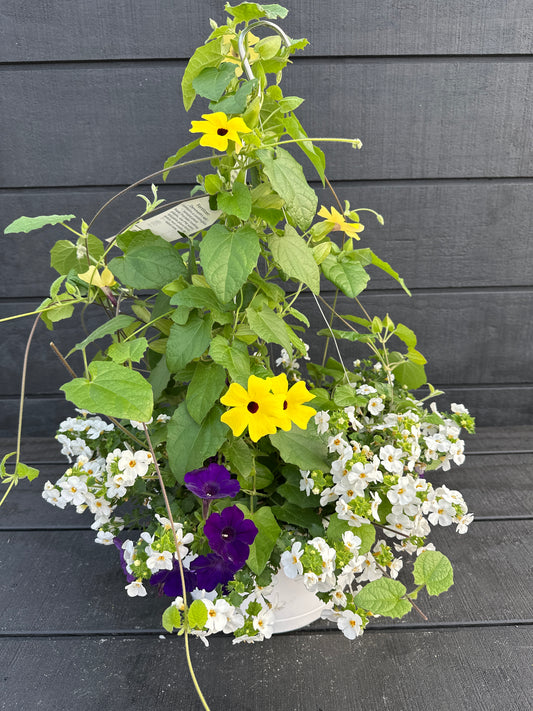 BASKET #81 - 12" HANGING BASKET