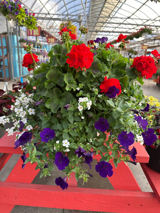 BASKET #56 - 12" HANGING BASKET