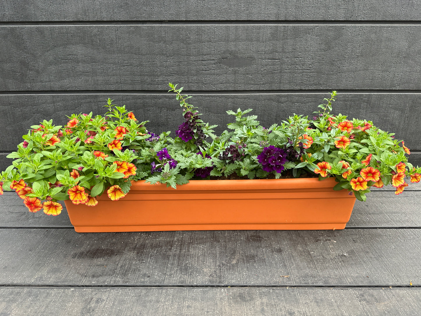 COMBO #10 - 30'' WINDOW BOX