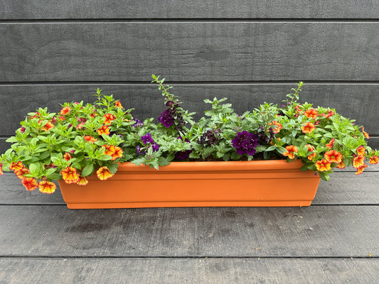 COMBO #10 - 30'' WINDOW BOX
