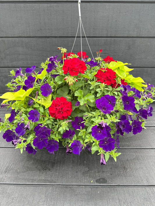 BASKET #67 - 12" HANGING BASKET