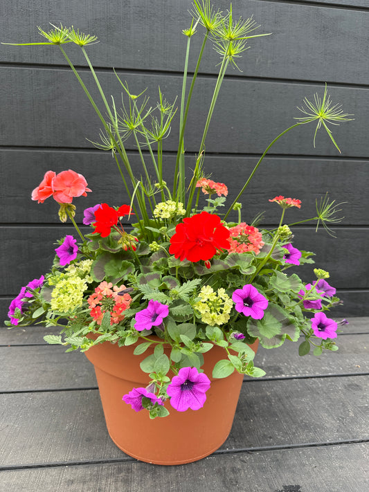 COMBO #39 - 12'' POT