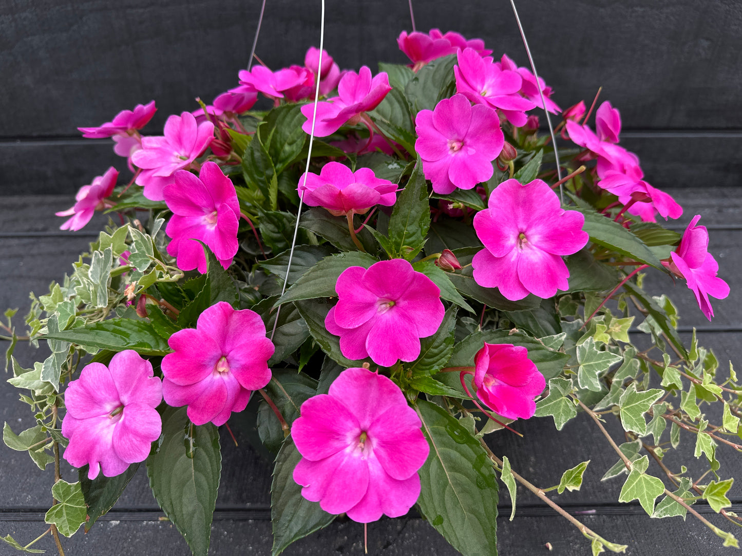 BASKET #78 - 12'' HANGING BASKET