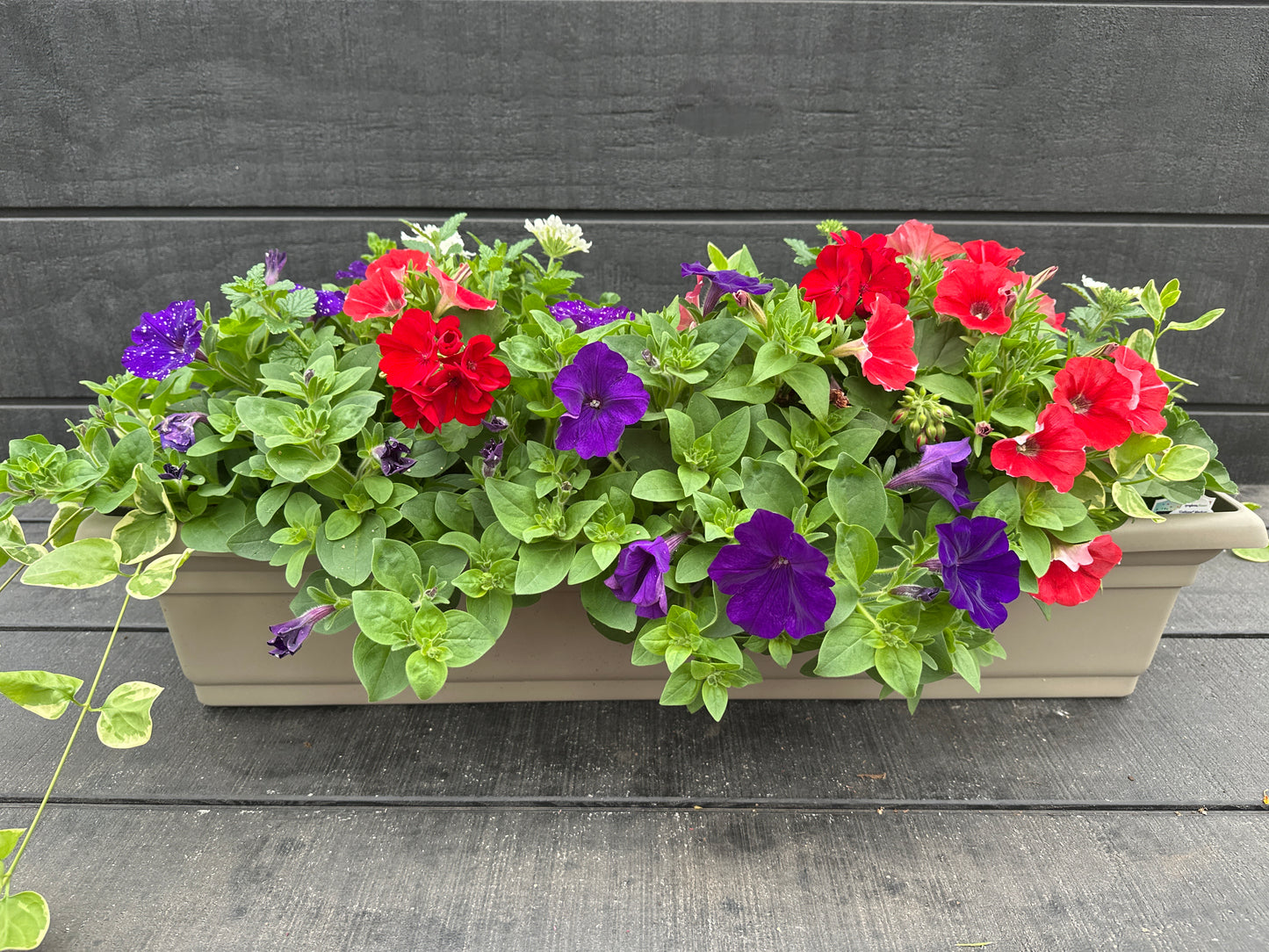 COMBO #4 - 30'' WINDOW BOX