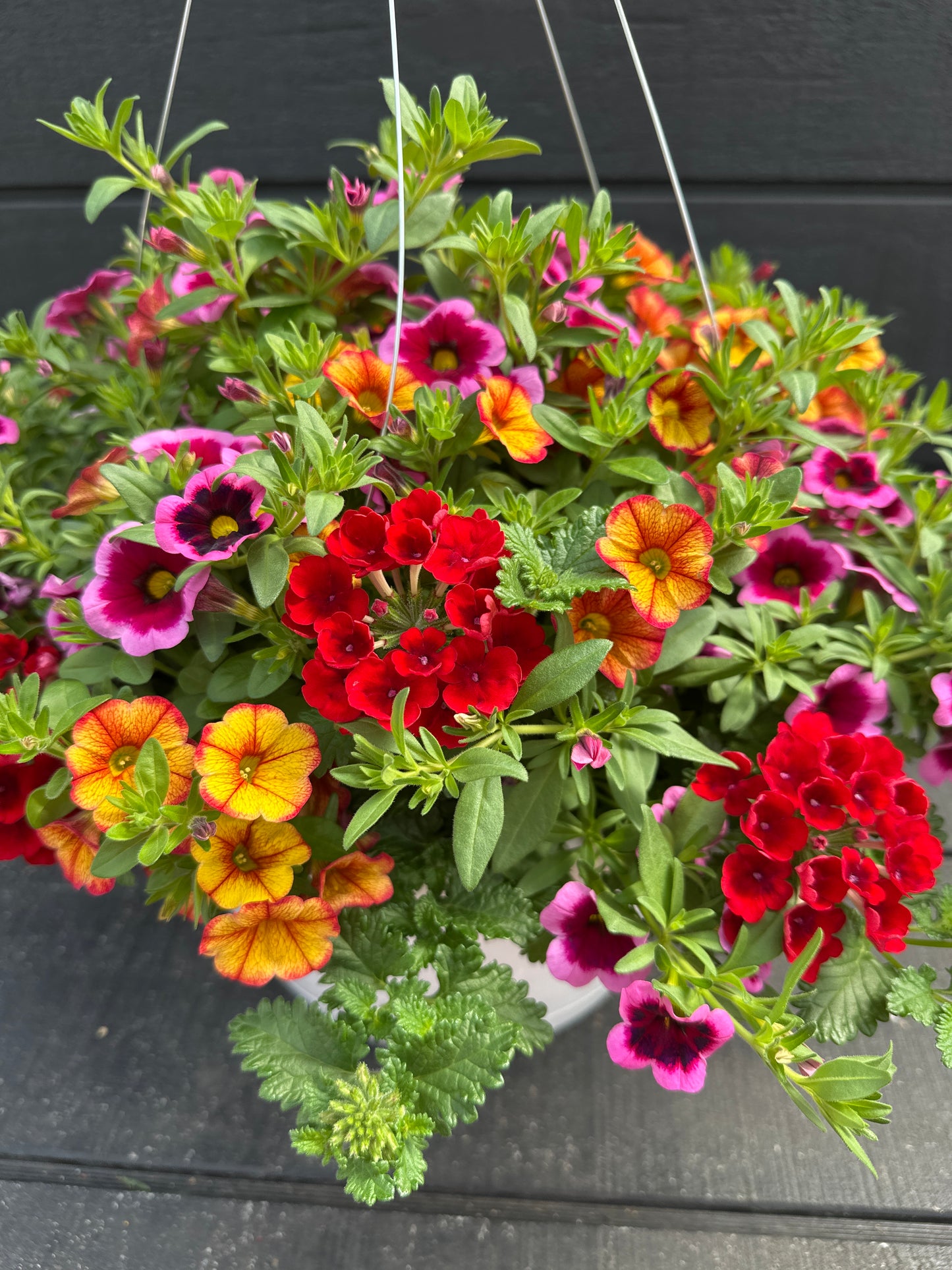 BASKET #45 - 12'' HANGING BASKET