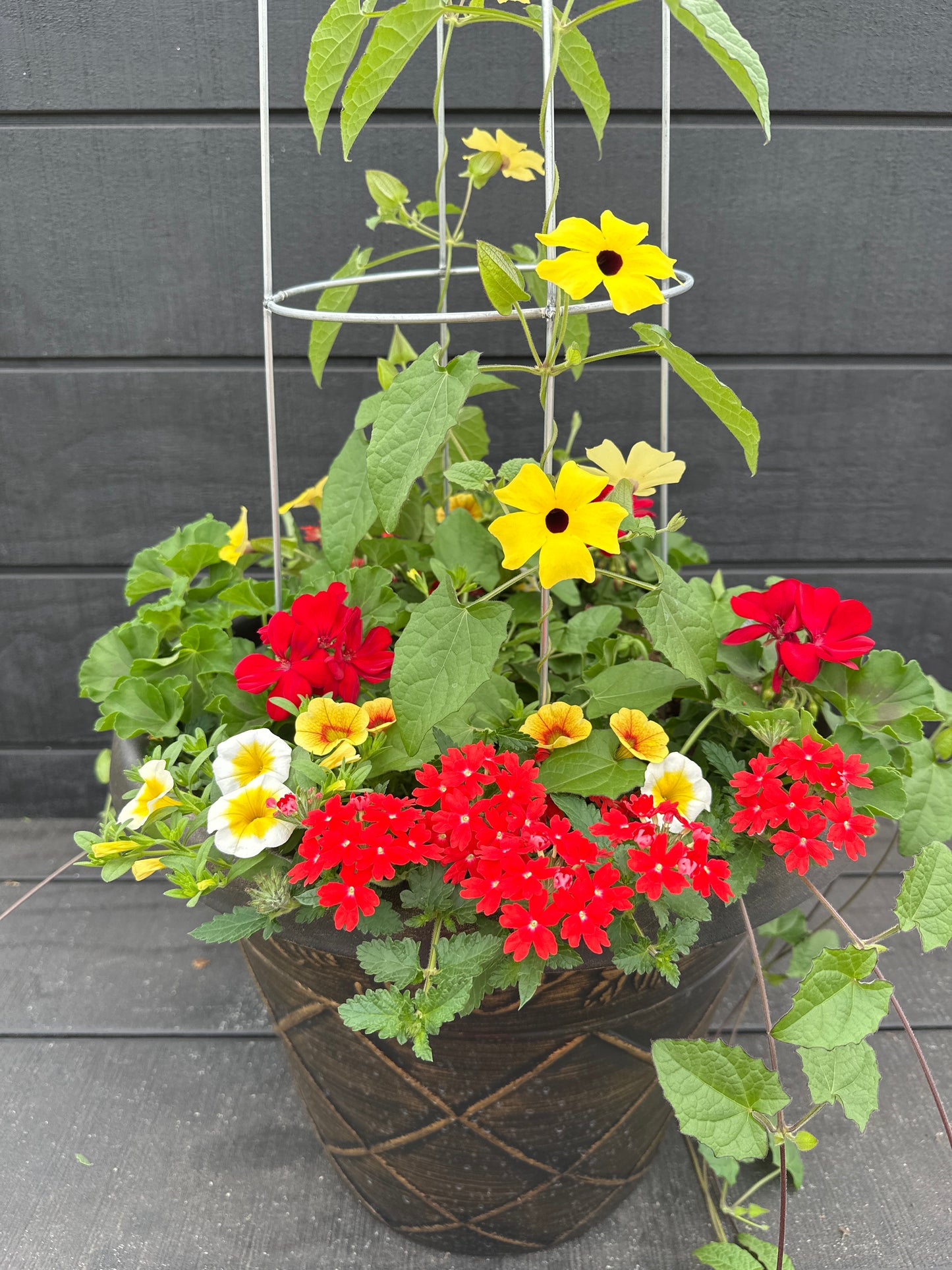 COMBO #25 - 16'' POT