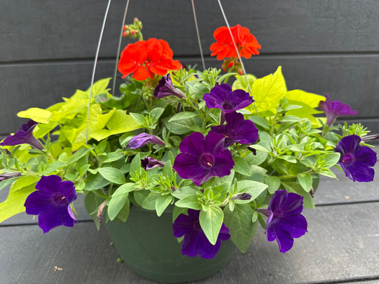 BASKET #92 - 12'' HANGING BASKET
