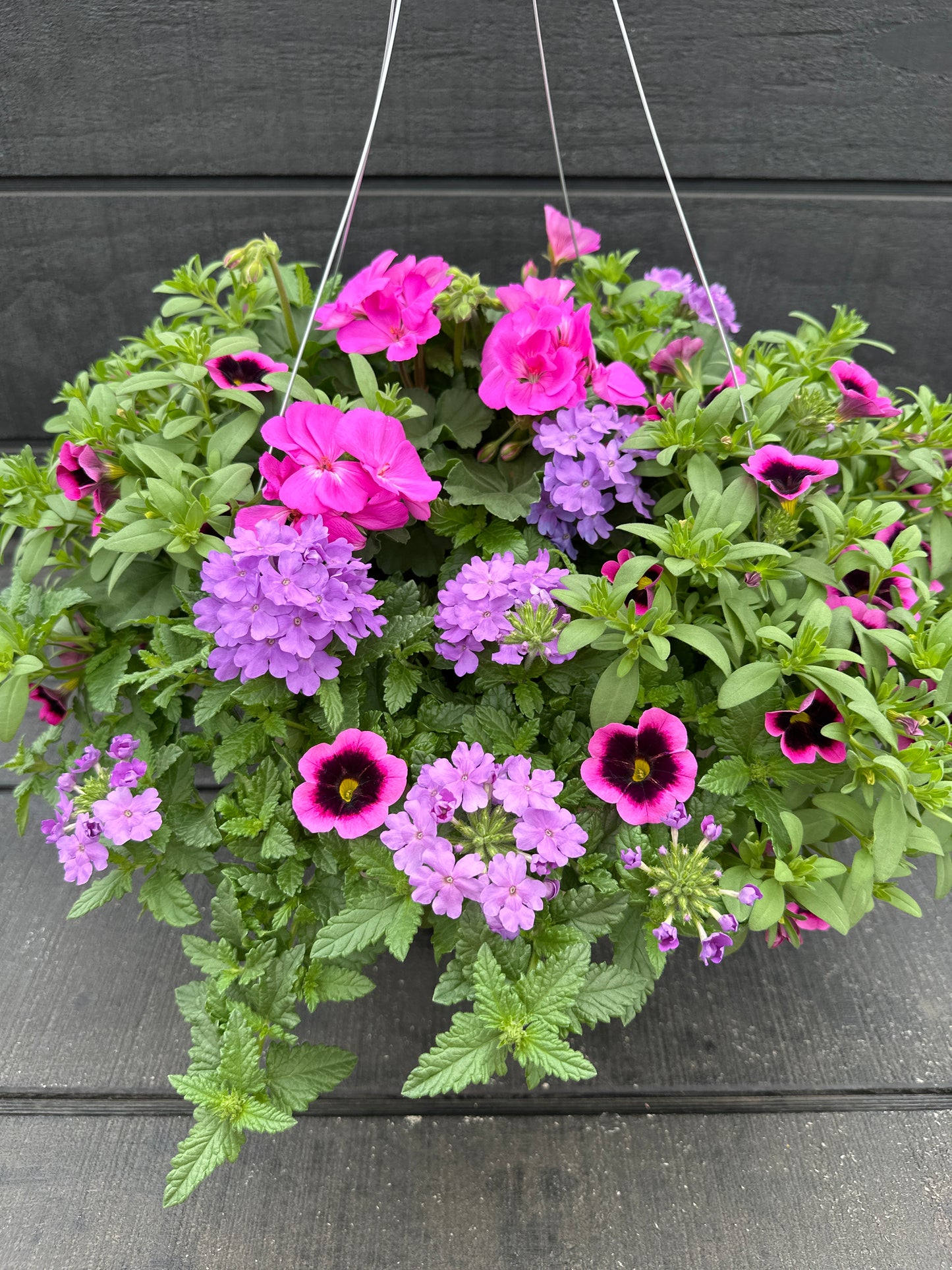 BASKET #100 - 12" HANGING BASKET