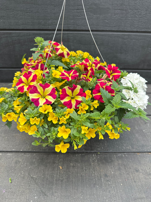 BASKET #26 - 10'' HANGING BASKET