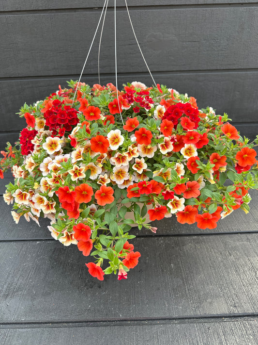 BASKET #45 - 12" HANGING BASKET