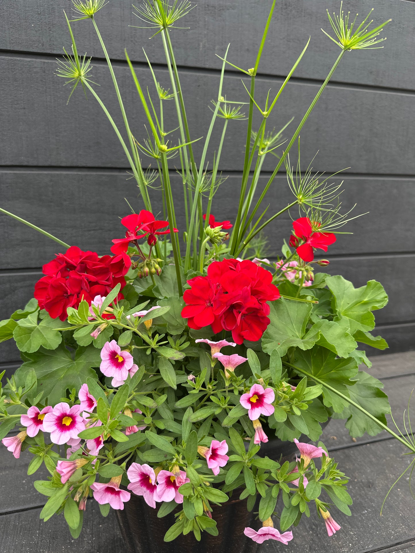 COMBO #2 - 12'' POT