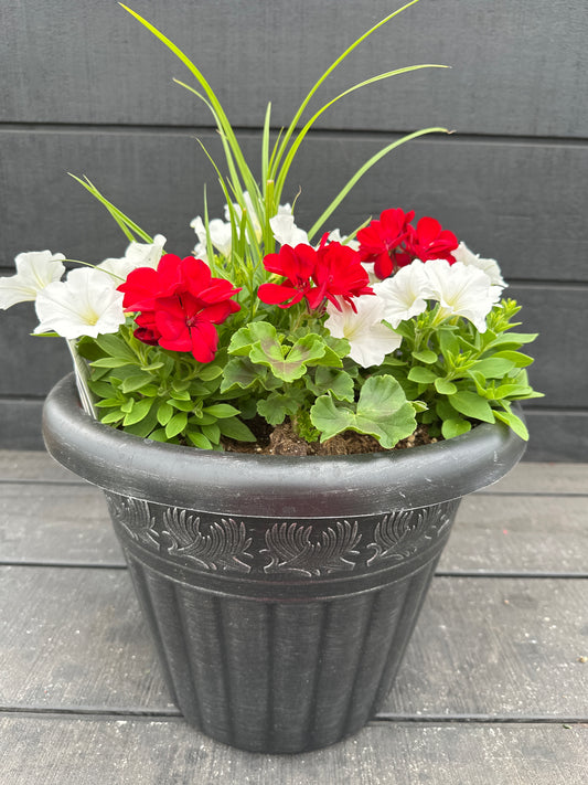 COMBO #89 - 12'' POT