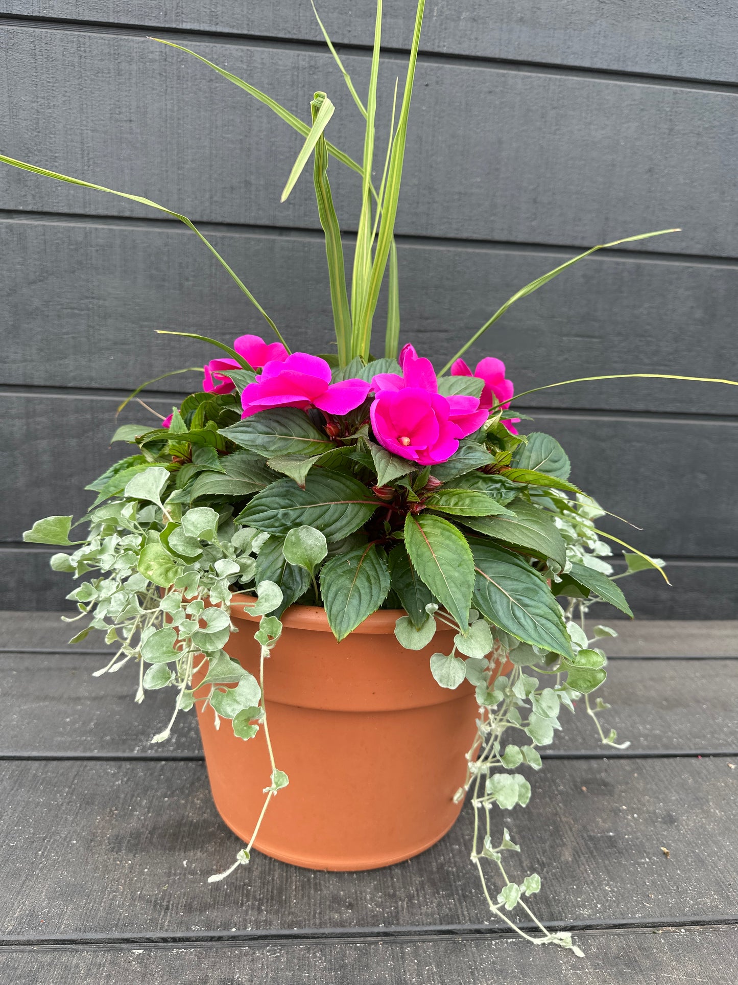 COMBO #71 - 12'' POT