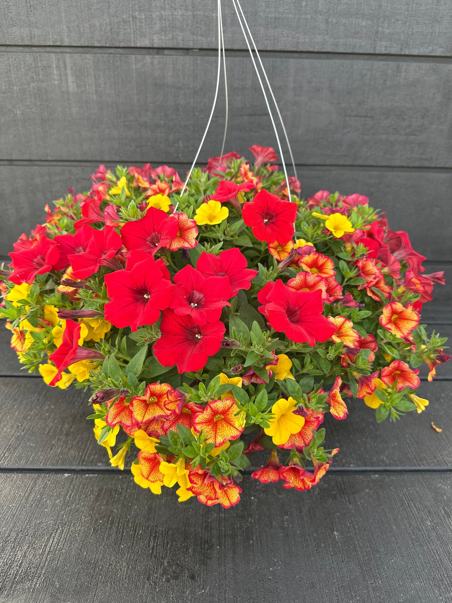 BASKET #84 - 12'' HANGING BASKET