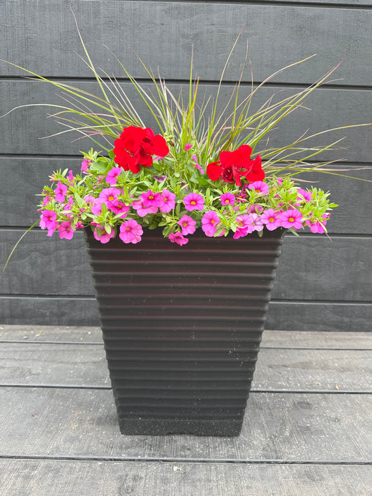 COMBO #1 - 12'' POT
