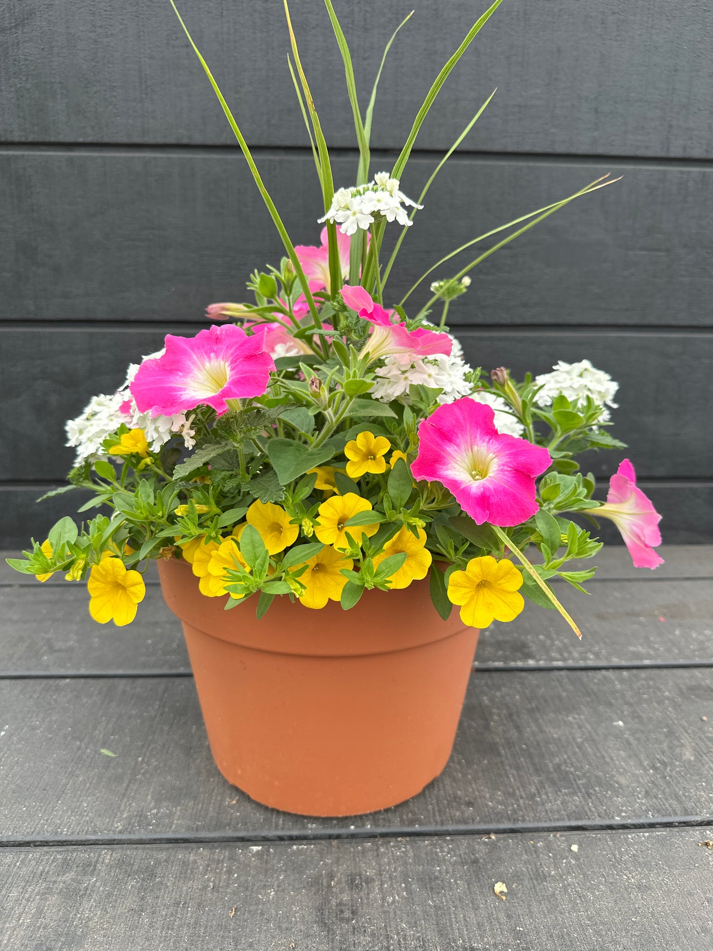 COMBO #24 - 10'' POT