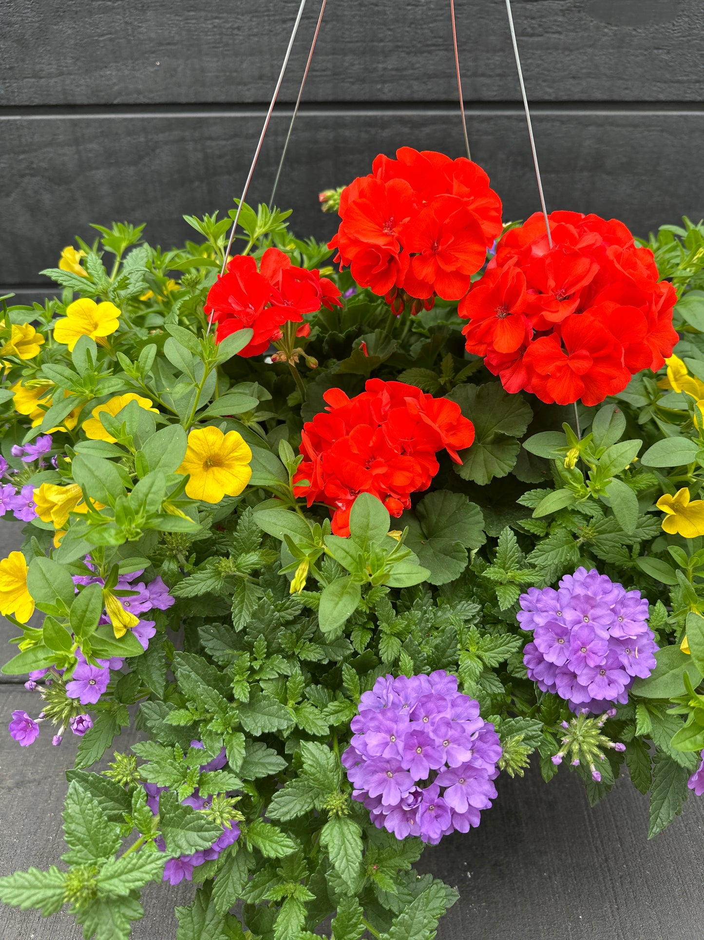 BASKET #98 - 12" HANGING BASKET