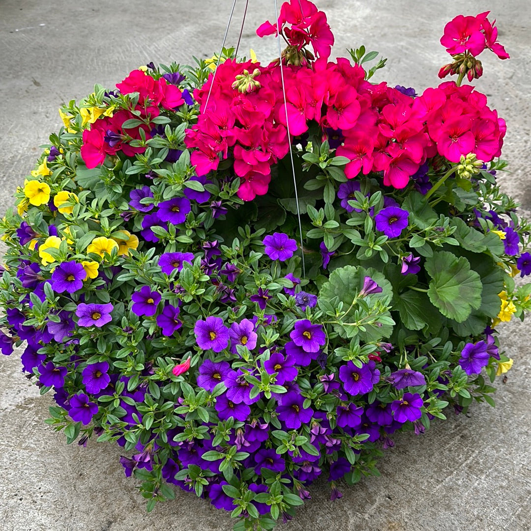 BASKET #46 - 12" HANGING BASKET