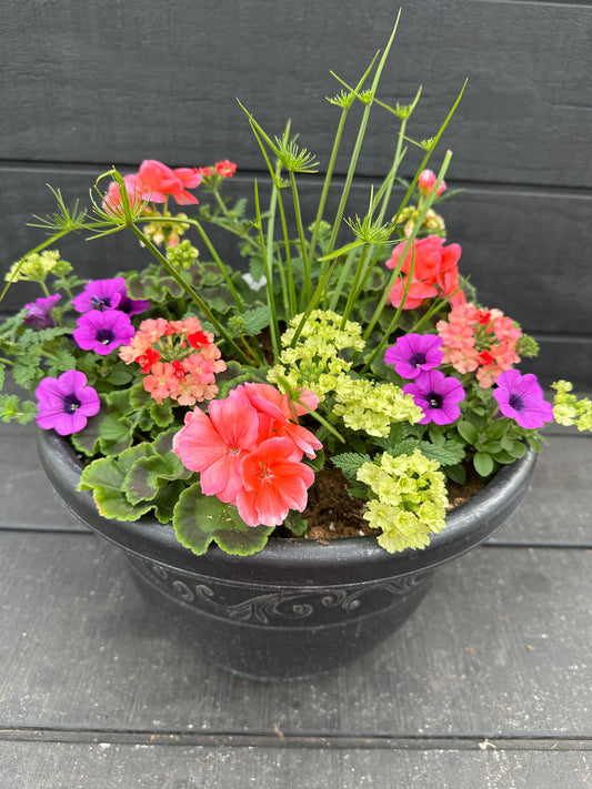 COMBO #39 - 12'' POT