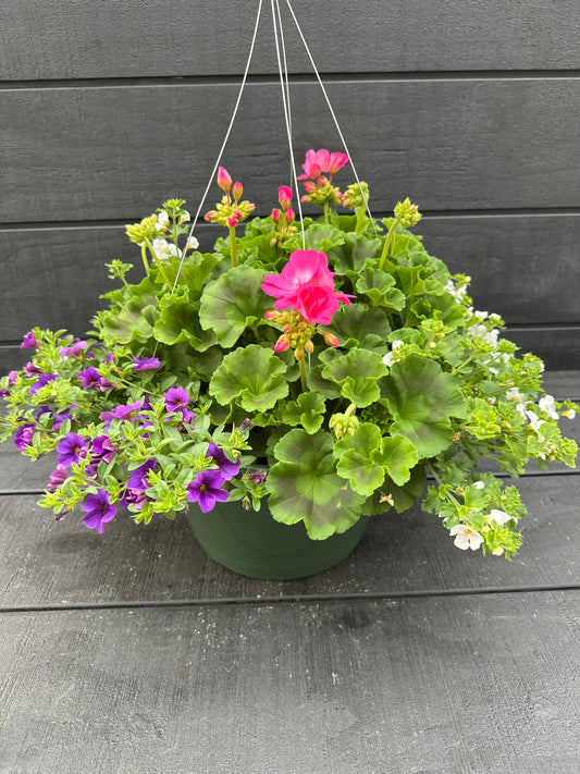 BASKET #74 - 12" HANGING BASKET