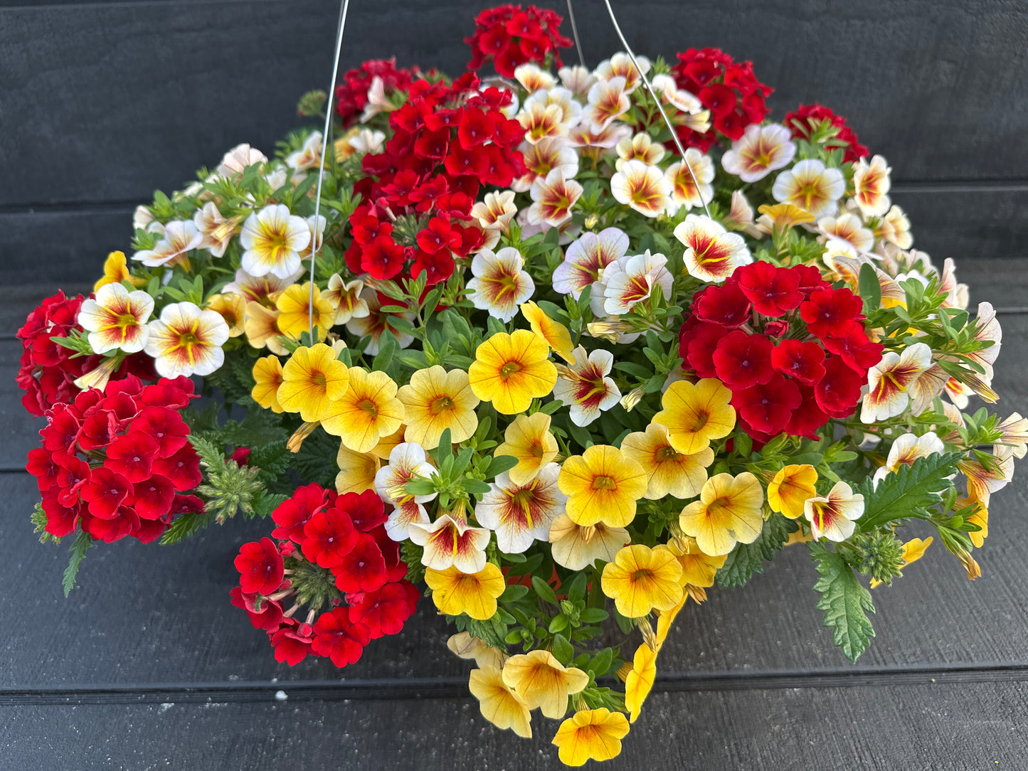 BASKET #45 - 12" HANGING BASKET