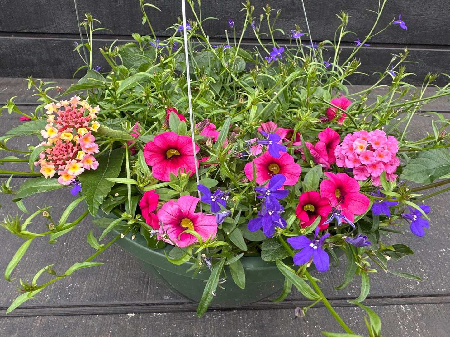 BASKET #54 - 10'' HANGING BASKET