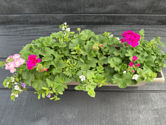 COMBO #25 - 24" WINDOW BOX