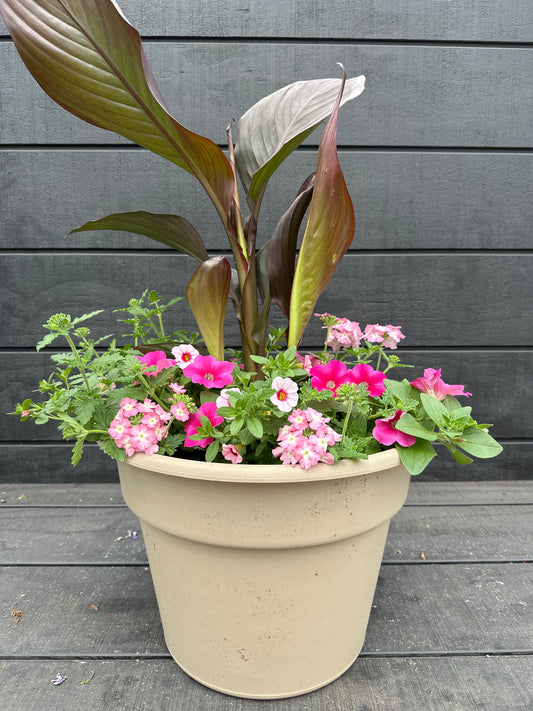 COMBO #11 - 14'' POT