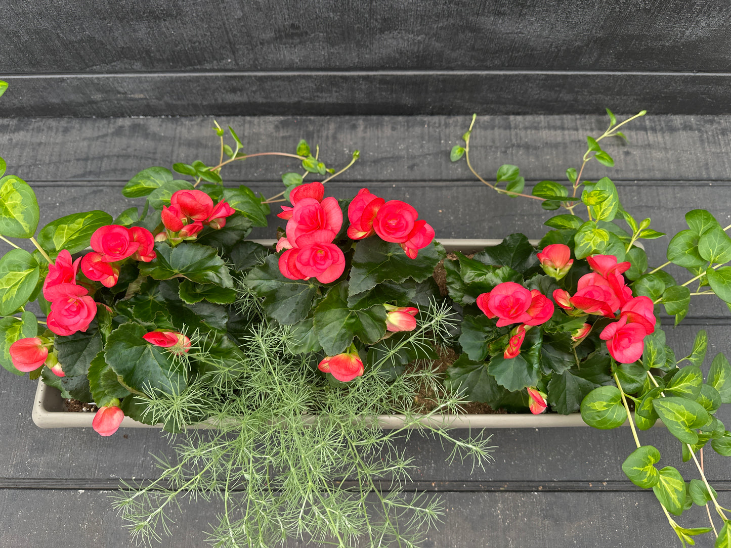 COMBO #32 - 24" WINDOW BOX