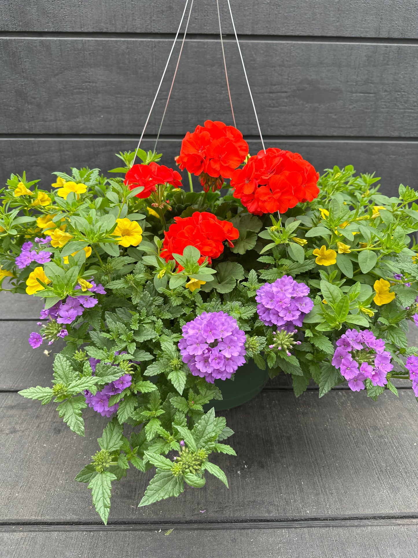 BASKET #98 - 12" HANGING BASKET